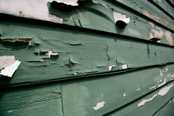 Best Same-Day Junk Removal Services  in Brush, CO